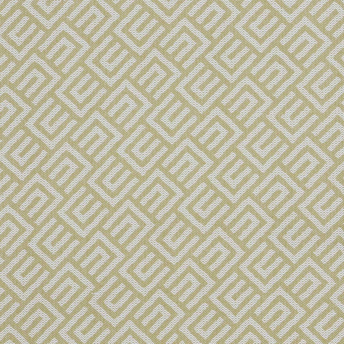 209 WASABI 209 WASABI