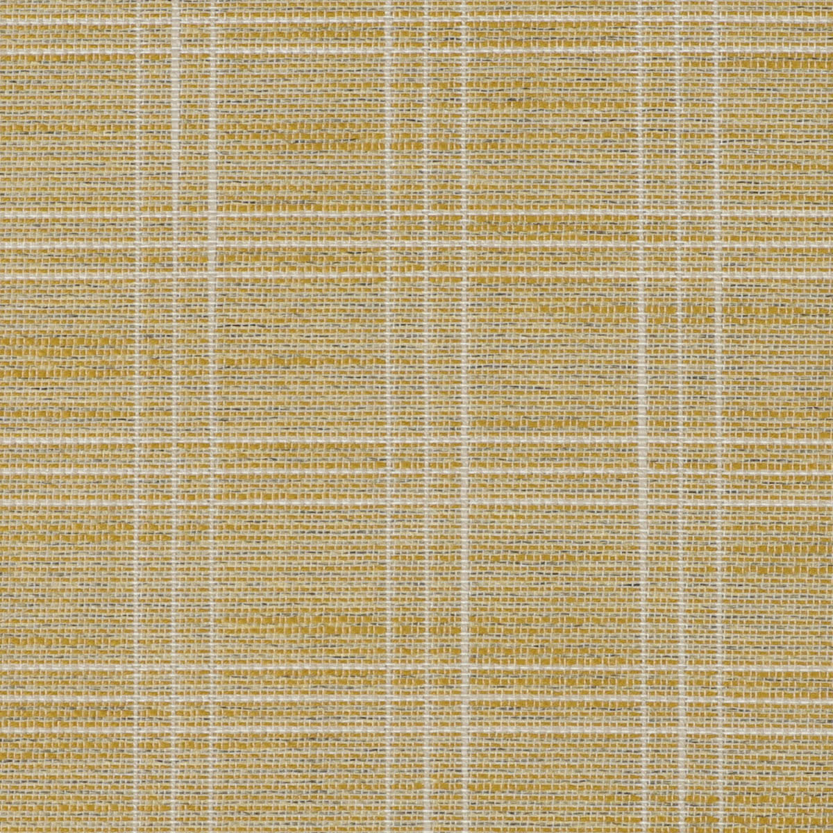 1012148 BUTTERSCOTCH 1012148 BUTTERSCOTCH