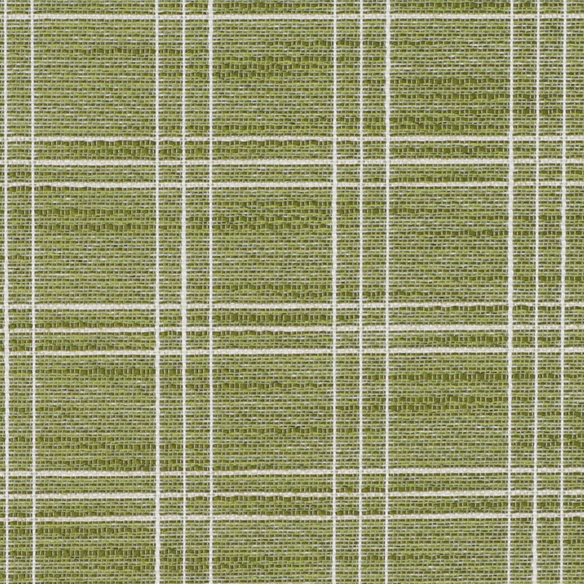 1012150 KIWI 1012150 KIWI