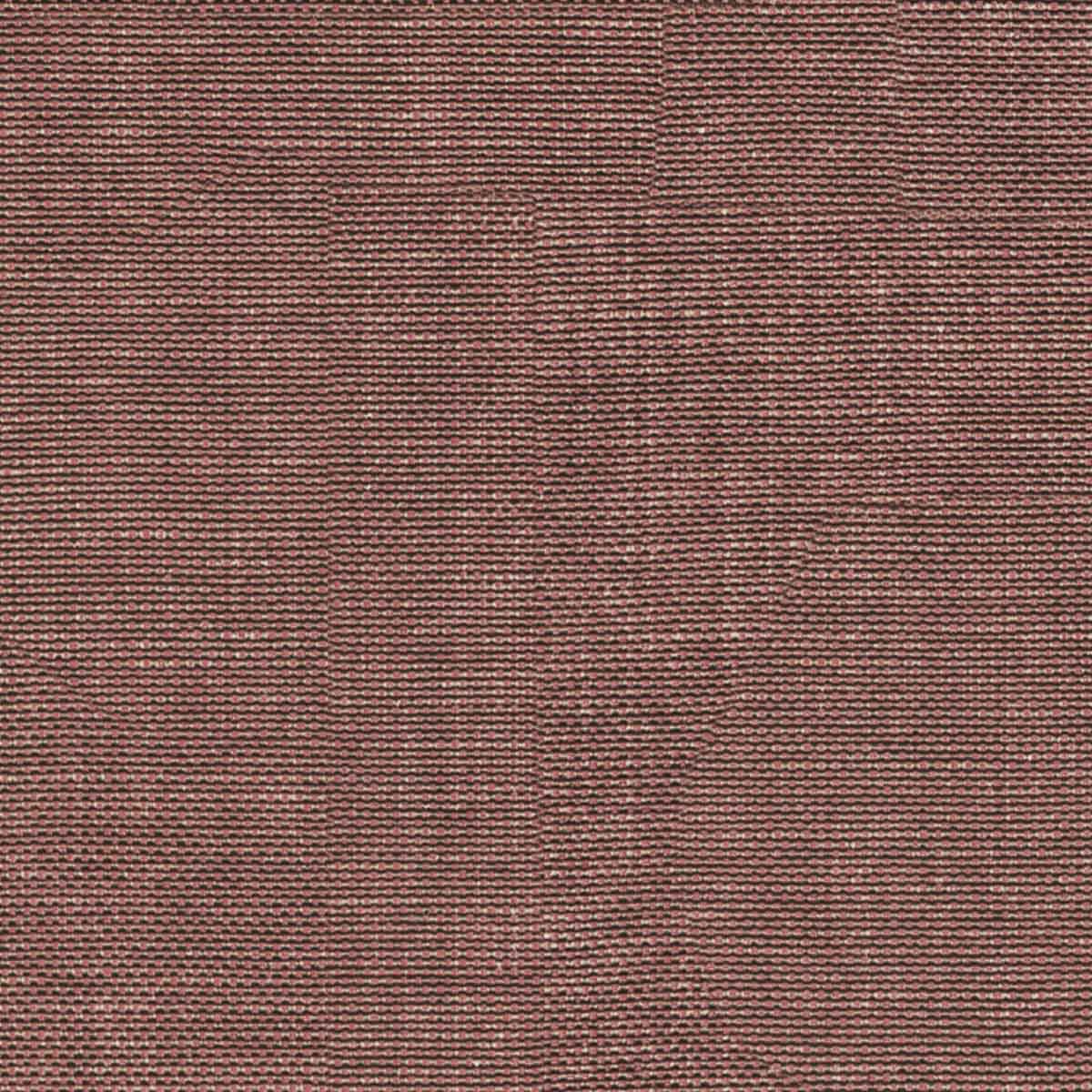 STRIE - Baresque