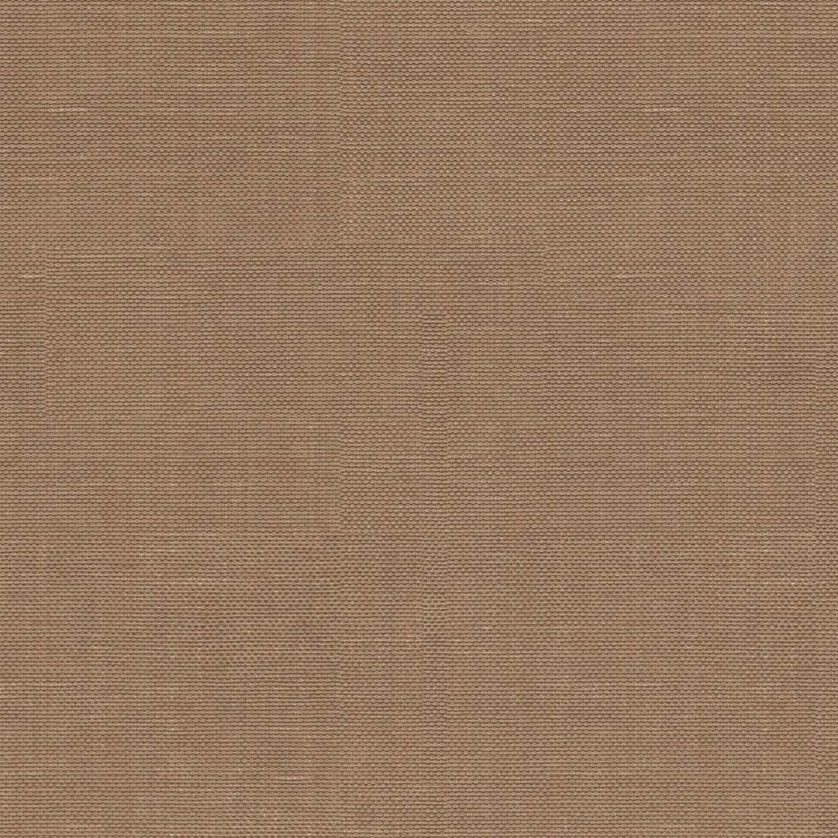STRIE - Baresque