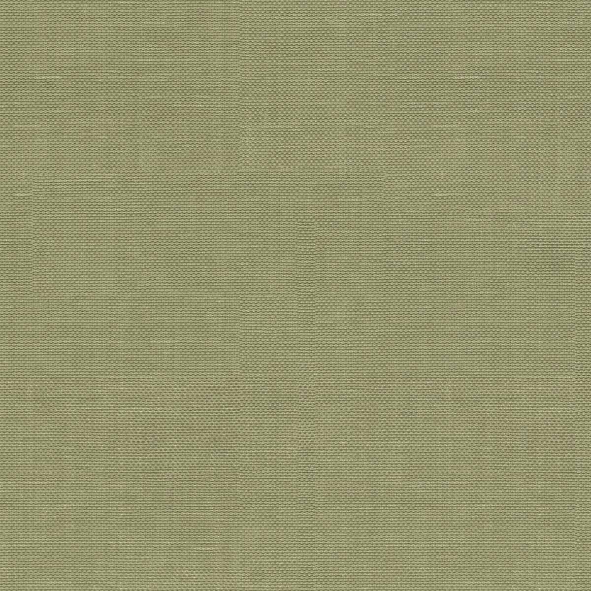 STRIE - Baresque