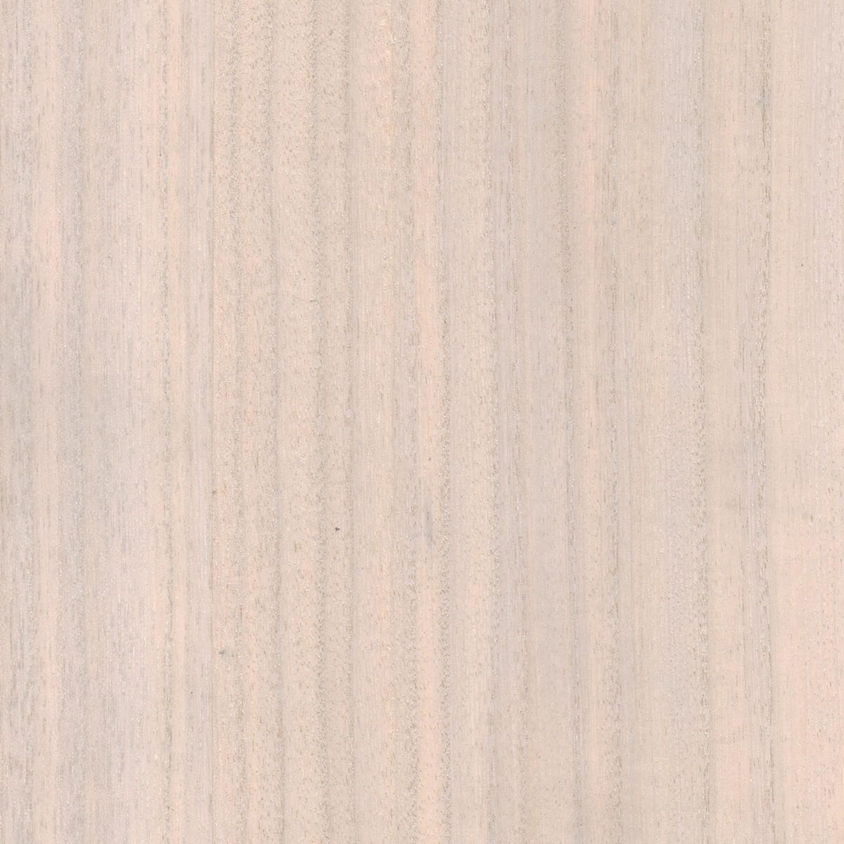 NV1013 - MASHMALLOW NV1013 - MASHMALLOW
