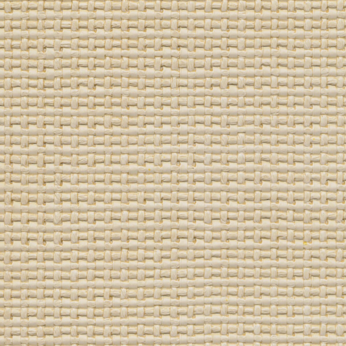 84 SAND DOLLAR 84 SAND DOLLAR