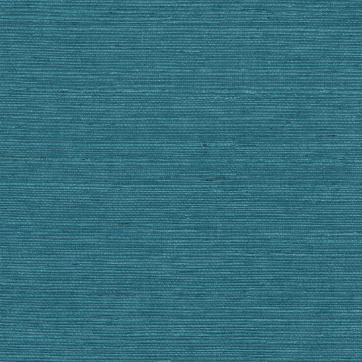 NS1144 NS1144