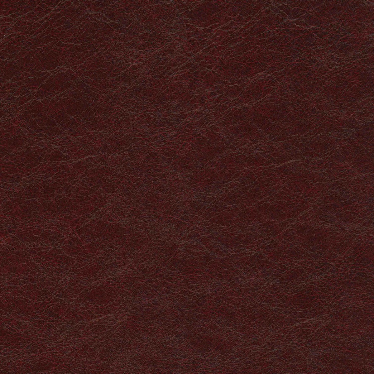 17 BLACK CHERRY 17 BLACK CHERRY