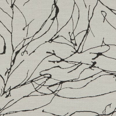 meander-birch-1009154