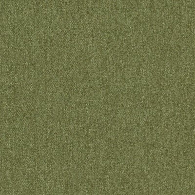 outlander_64221-fairway