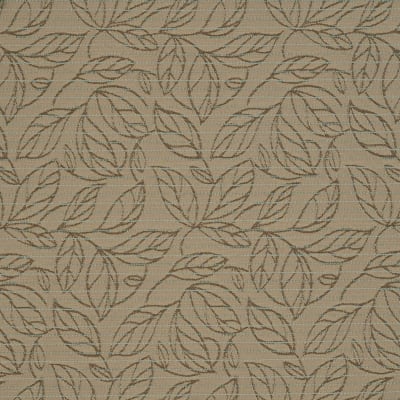 underbrush_cg0149-02-boulder