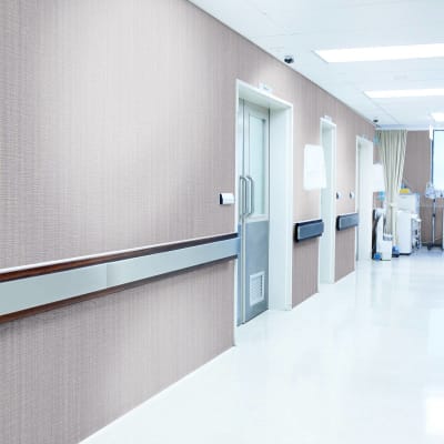 Baresque Armora Promo