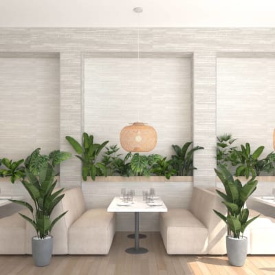 Sahara Stone Promo 1