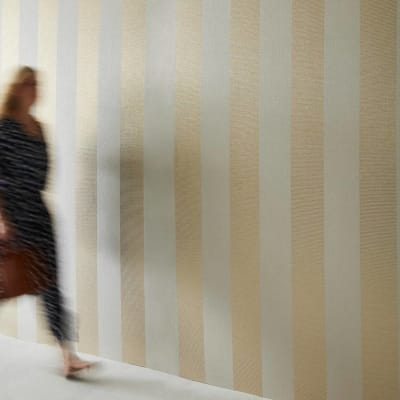 Moire Stripe Couture Promo 3