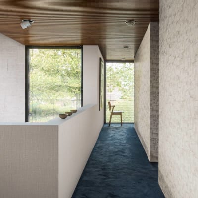 Baresque Aruba ARA201 & ARA504 & ARA302 Promo 2