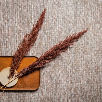 Flow Tribu - Promo 1