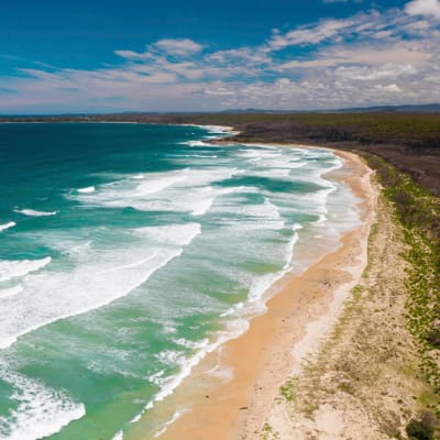 Seraphic - Artist Robert King - Berrara Beach