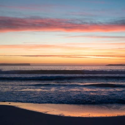 Seraphic - Artist Robert King - Blenheim Beach