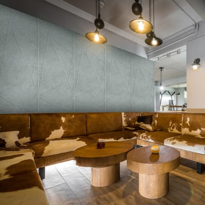 Etch Panel Craze Cadet