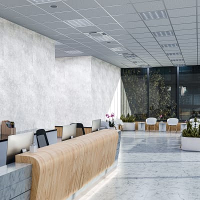 Premium Material Raku - Bone