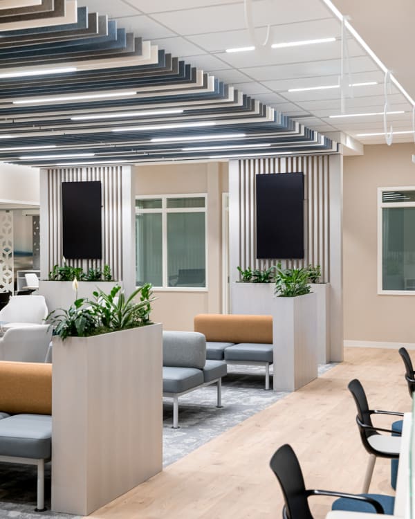 Communal office area of the Alberta Motor Association Calgary office featuring Zintra Baffle Systems in a custom colour sequence on the ceiling