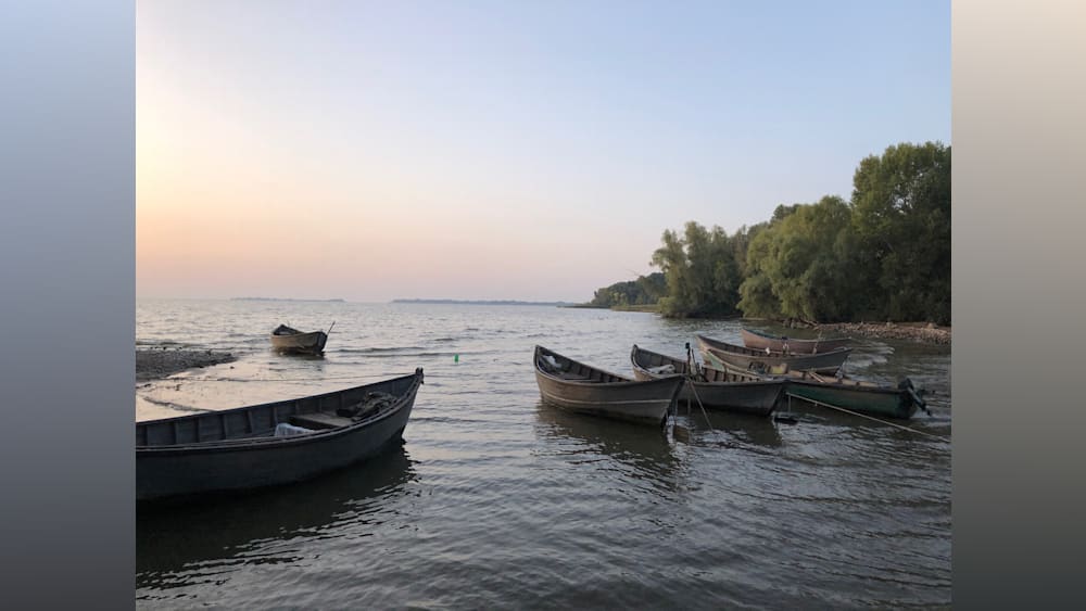 Several boats are in the water and the sun is setting.
