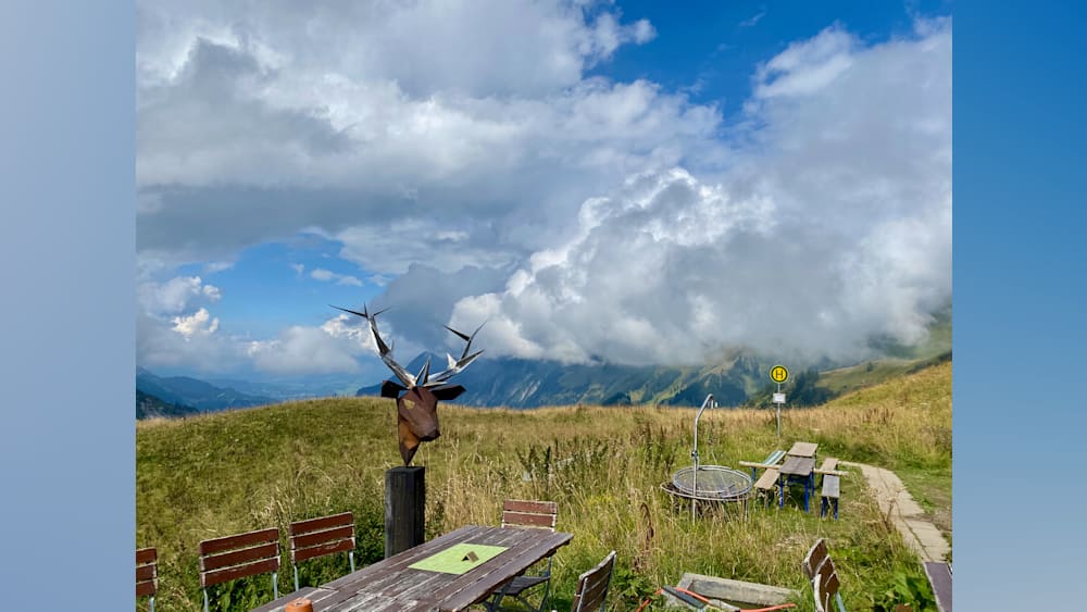 A table and chairs are on the grass with a statue of a deer head in front of it.
