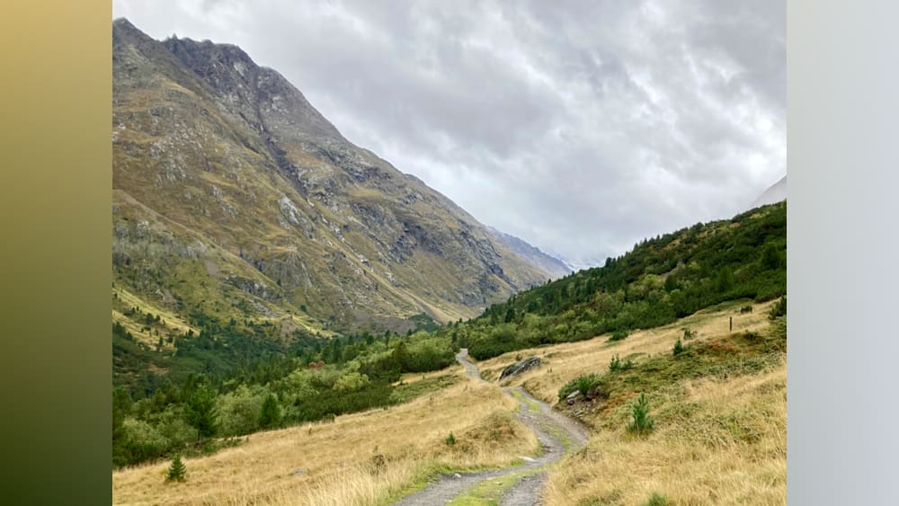 A road winds its way through a lush green valley, offering a peaceful escape from the hustle and bustle of everyday life.