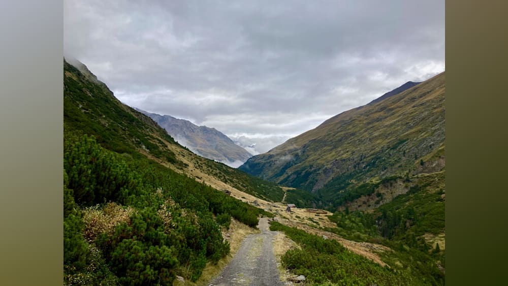 A road winds its way up a mountain side, through a forest of pine trees, before continuing on into the distance.