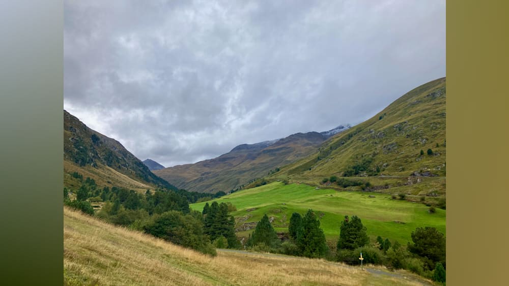 A valley with mountains in the background is covered with trees and grass.
