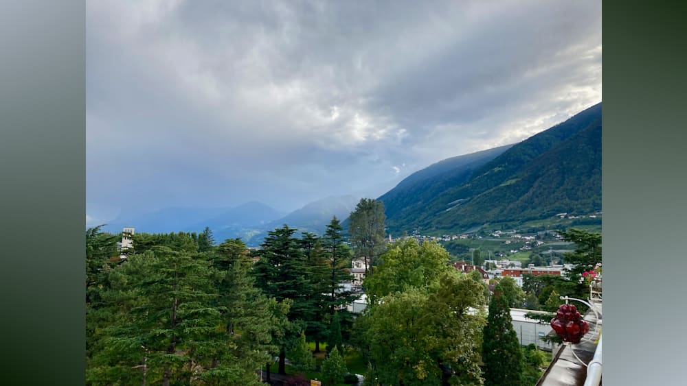 A forest of trees with a mountain in the background and a large cloud cover.