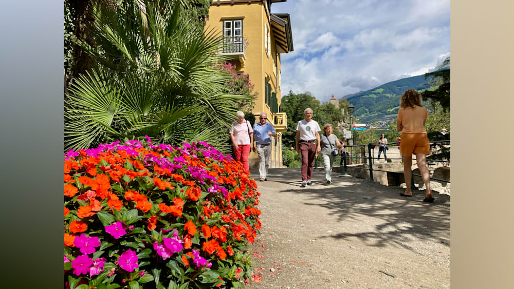 Several people walking down a path next to a garden of flowers.