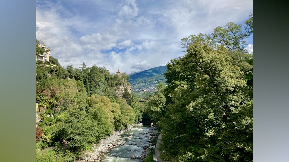 A river flows through a lush green forest, with trees on both sides of the water.