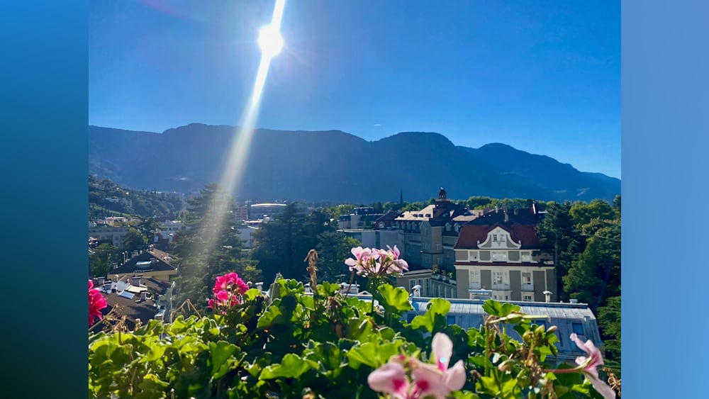 The sun is shining on a flowery area with pink and green flowers and a blue sky in the background.