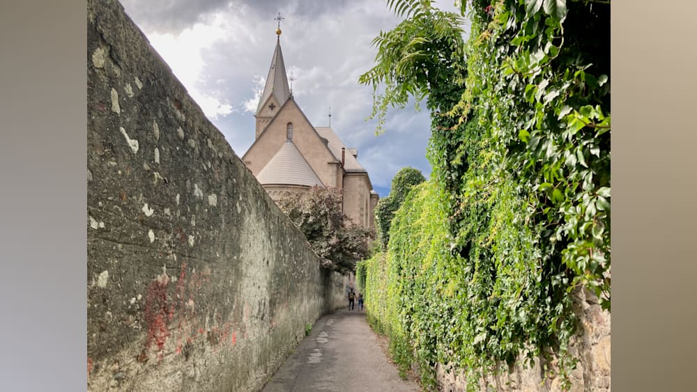 A narrow path between two green walls is shown in the image.