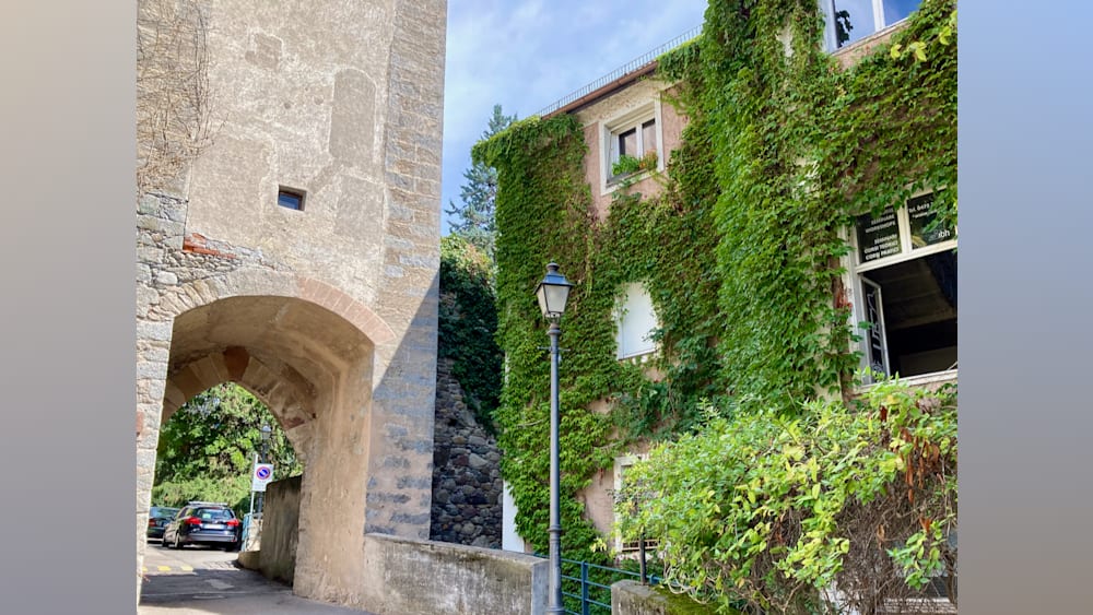 A street scene with a green ivy wall and a lamp post at the side.