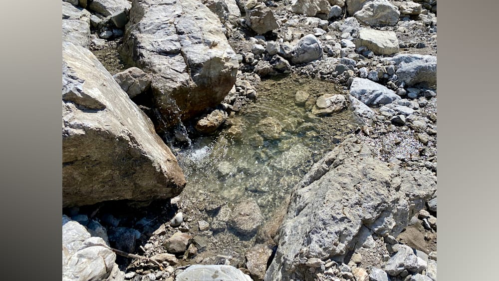 A small stream of water is in a rock pool surrounded by rocks.