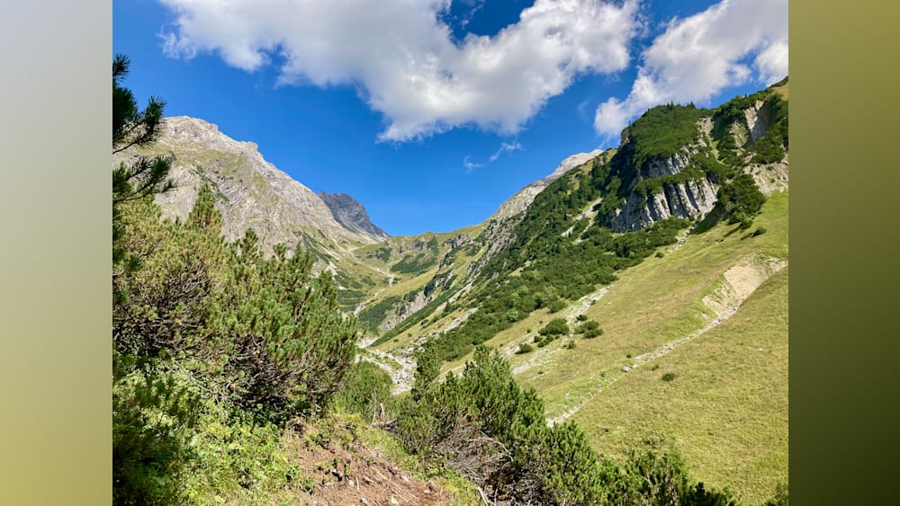 A mountain with pine trees and a clear blue sky in the background.