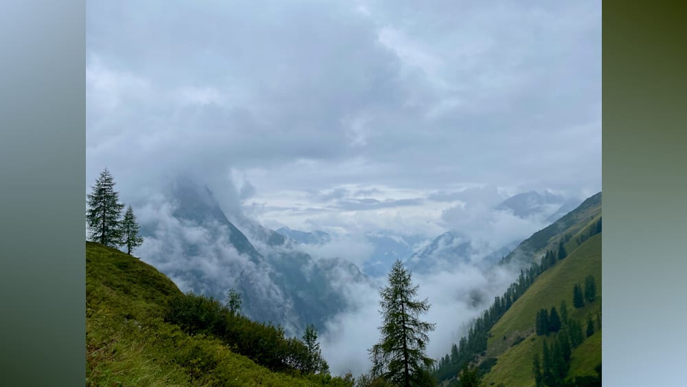 A foggy mountain peak with a tree in the valley below.