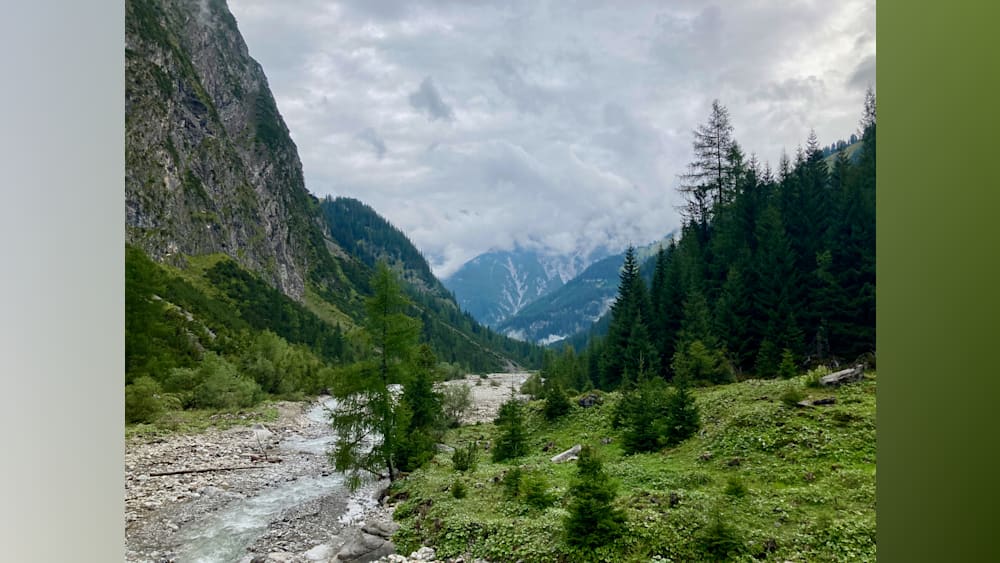 A forest of trees surrounds a river that is very narrow and wide at the same time.