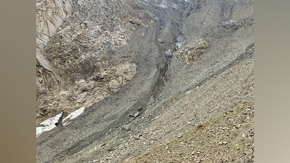 A large rock outcropping with a small animal scurrying up it.