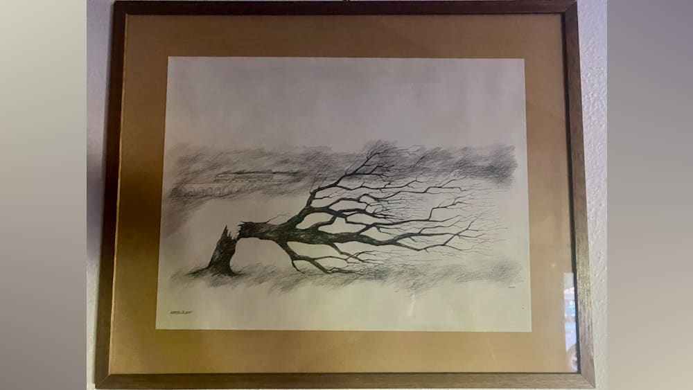 A pencil drawing of a tree with branches and a drawing of a house in the background.
