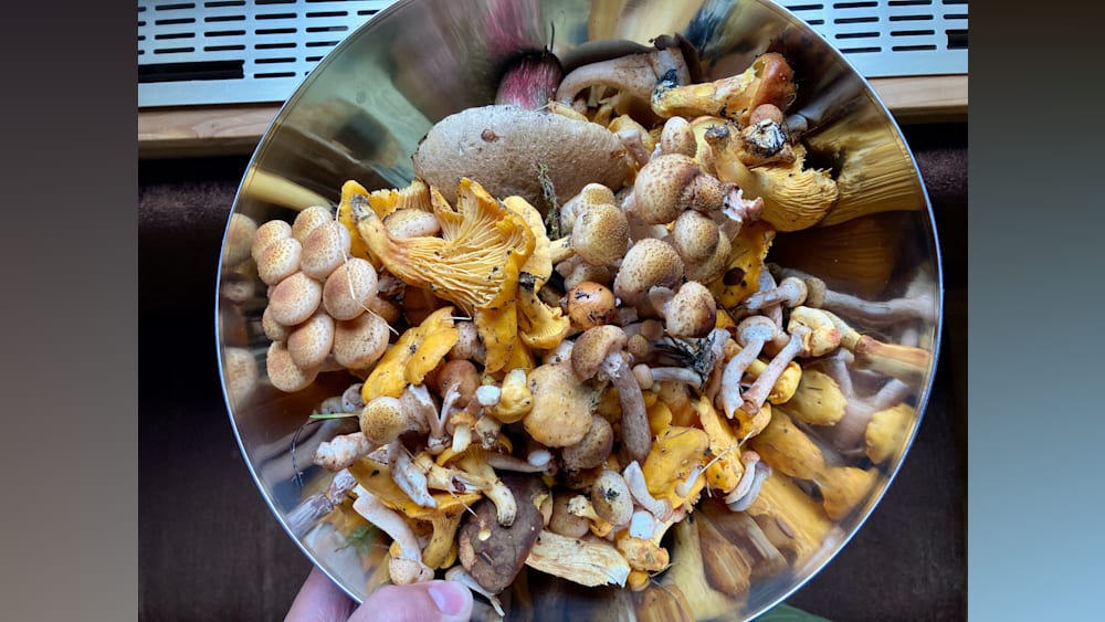 A person holding a bowl of mushrooms with a few pieces missing.