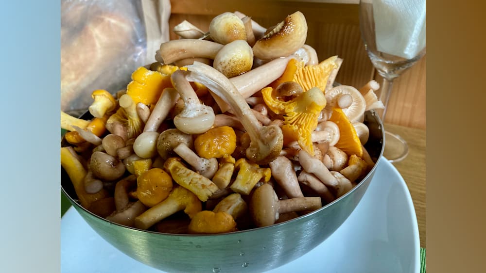 A bowl of wild mushrooms covered in dirt and debris.