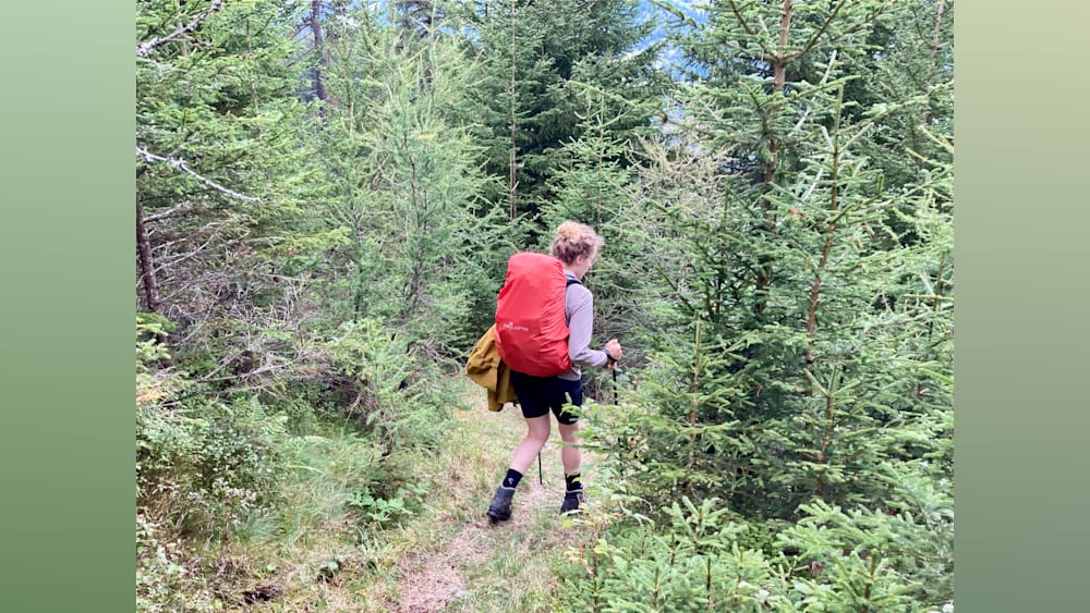 A woman wearing a red Jansport backpack is walking through a forest.