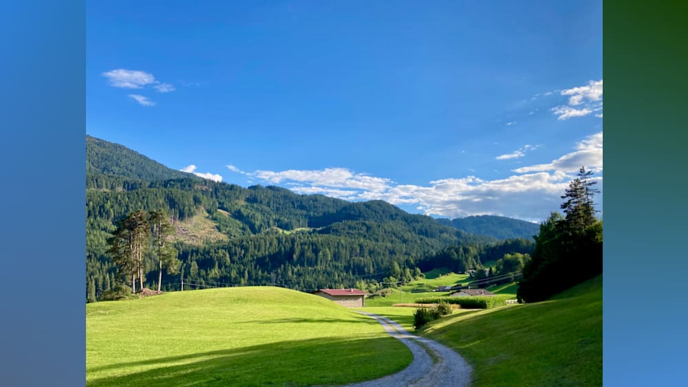 A road goes through a grassy field with mountains in the background.