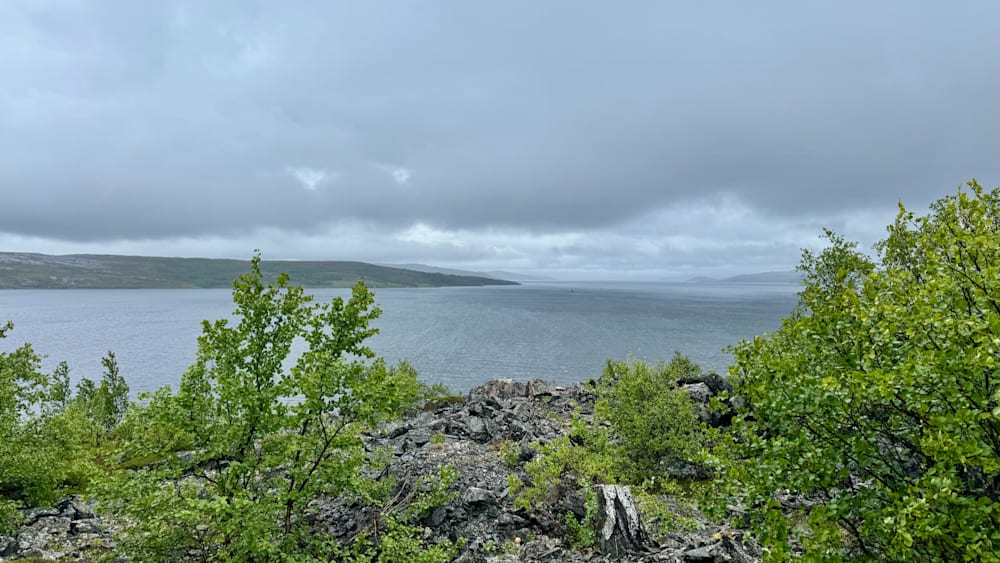 A rocky shoreline with trees and a body of water.