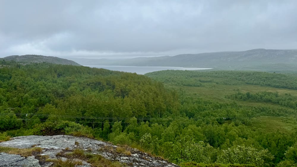 A forest with a lake in the background.