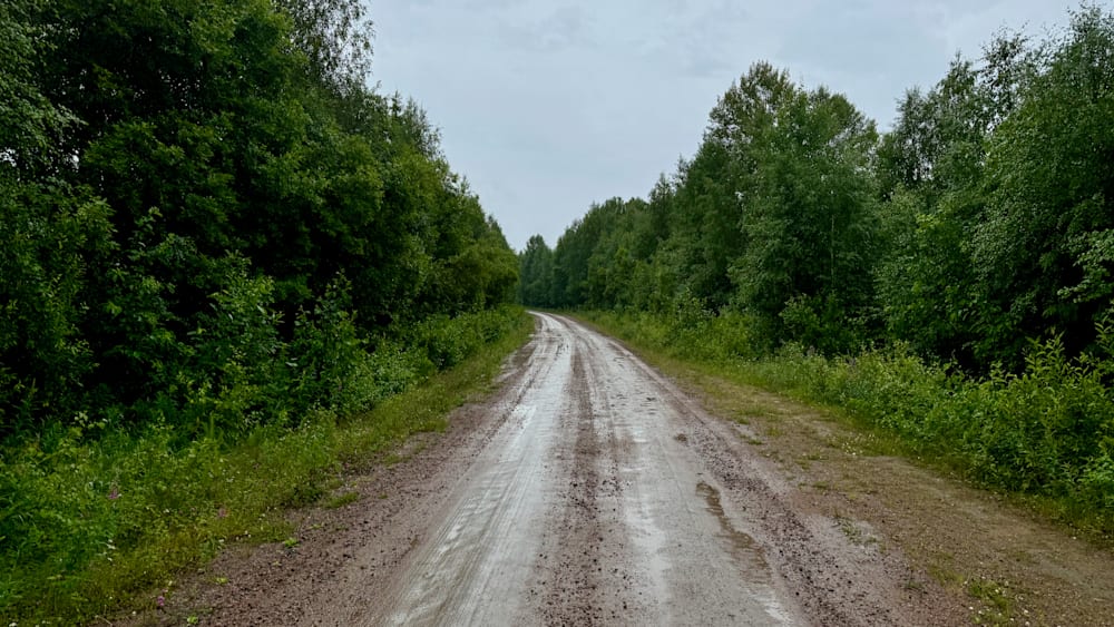 A dirt road has a lot of mud on it and trees in the background.
