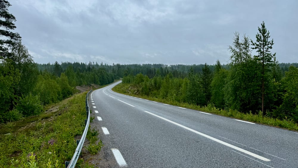 A large, empty road with trees in the background.