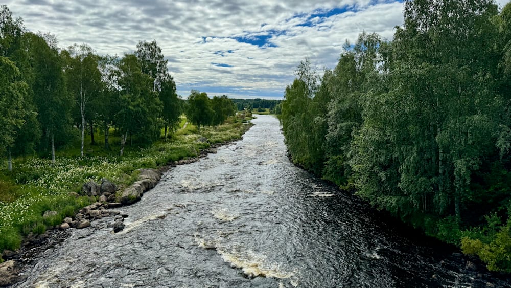 A river is flowing through a wooded area with a bridge in the middle.