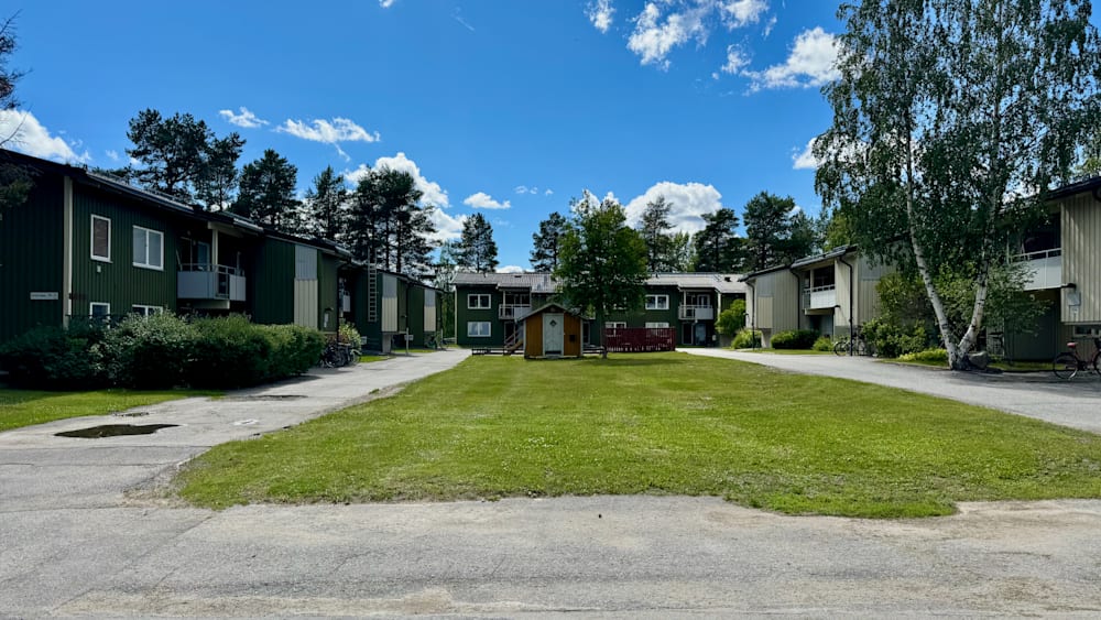 A group of cottages with a tree in the middle of them.